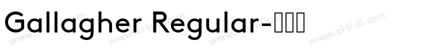 Gallagher Regular字体转换